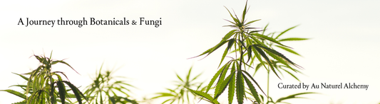🌿 Hemp: Medicine of the Ages — From Sadhus to Modern Skin Rituals