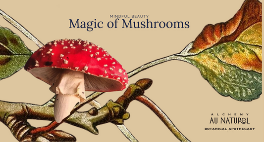 The Magic of Mushrooms: Skincare & Hair Care Benefits