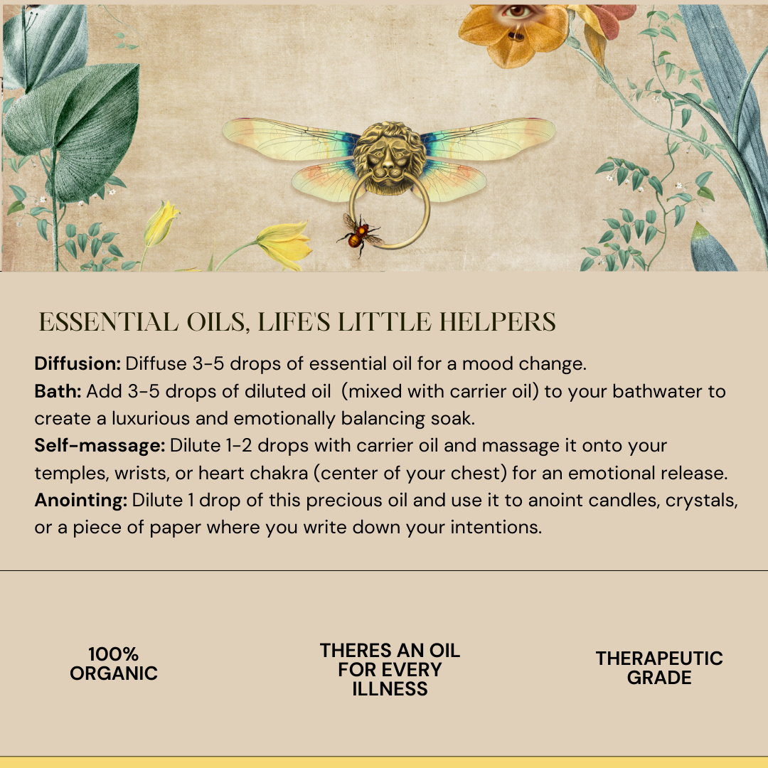Lavender Essential Oil