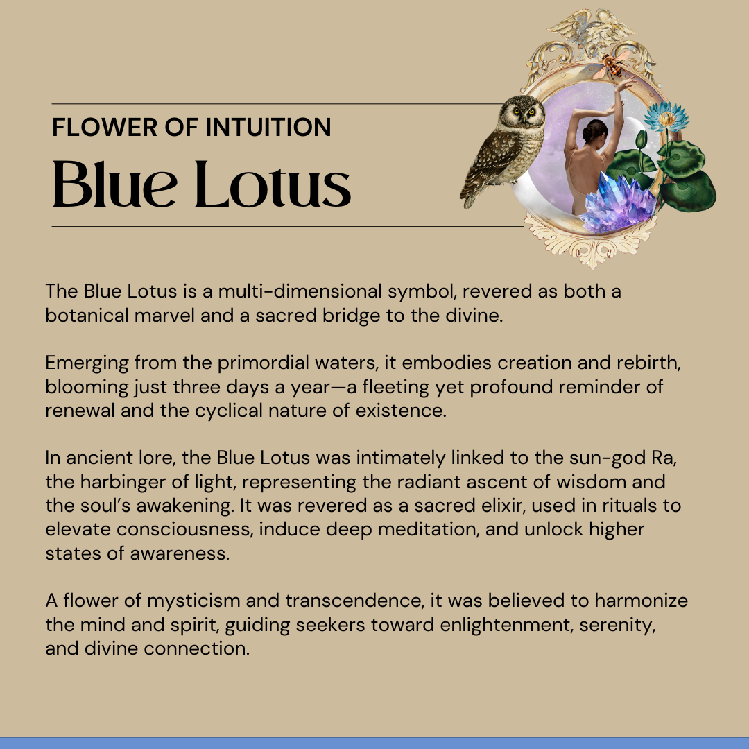 Blue Lotus + Squalane Hydrating Face Serum