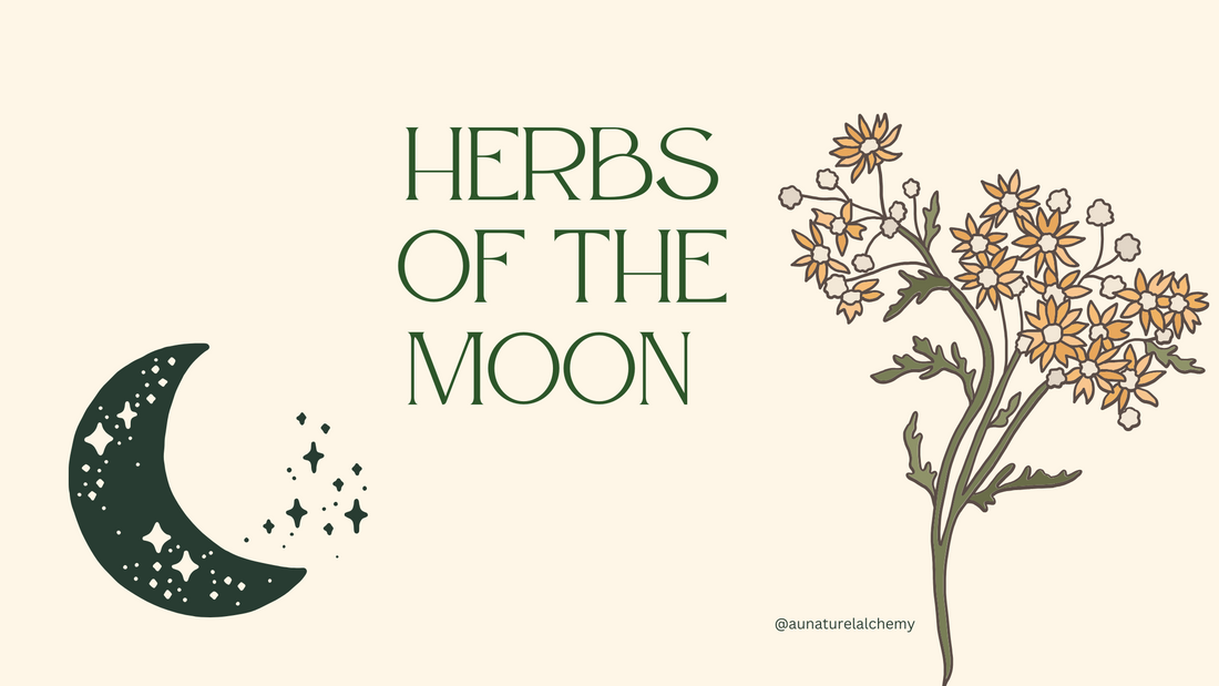 Herbs of the Moon: Lunar Botanicals for Intuition, Healing, and Spiritual Balance