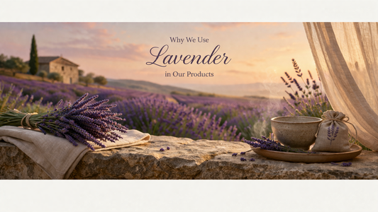 Lavender Benefits for Skin & Stress: Why We Use It in Our Formulations
