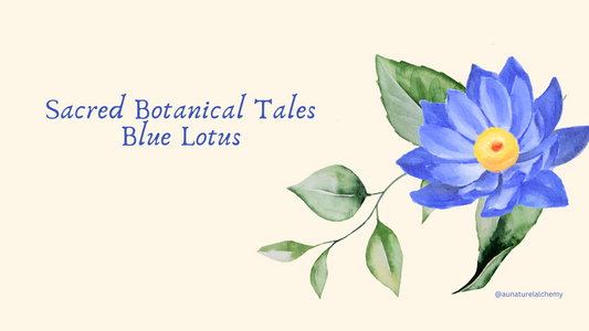 Blue Lotus Meaning & Rituals: History and Cultural Significance
