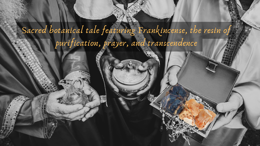 Frankincense & The Sacred Fire: A Ritual for Purification & Renewal