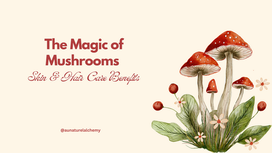 The Magic of Mushrooms: Skincare & Hair Care Benefits