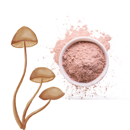 Pink Clay + Tremella Radiance Mask