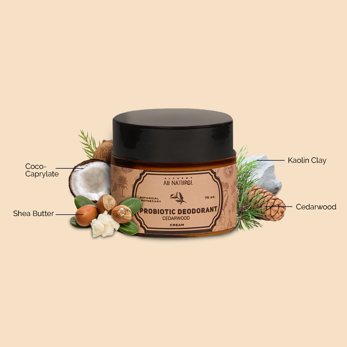 Probiotic + Magnesium Deodorant That Stops Odor at the Source